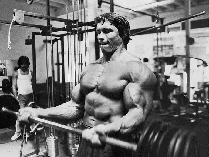 difference between both arnold bodybuilding books