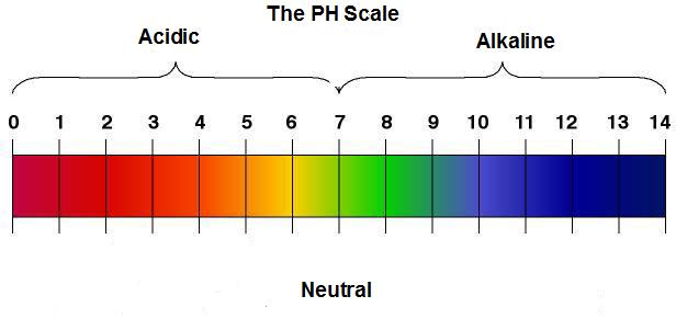 ph scale alkaline acid