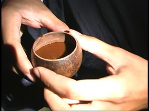 ayahuasca brew
