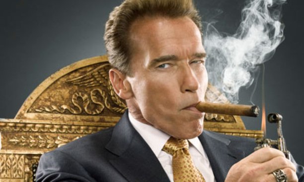 Arnold Schwarzenegger success