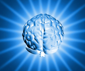 shiny-brain-1150907